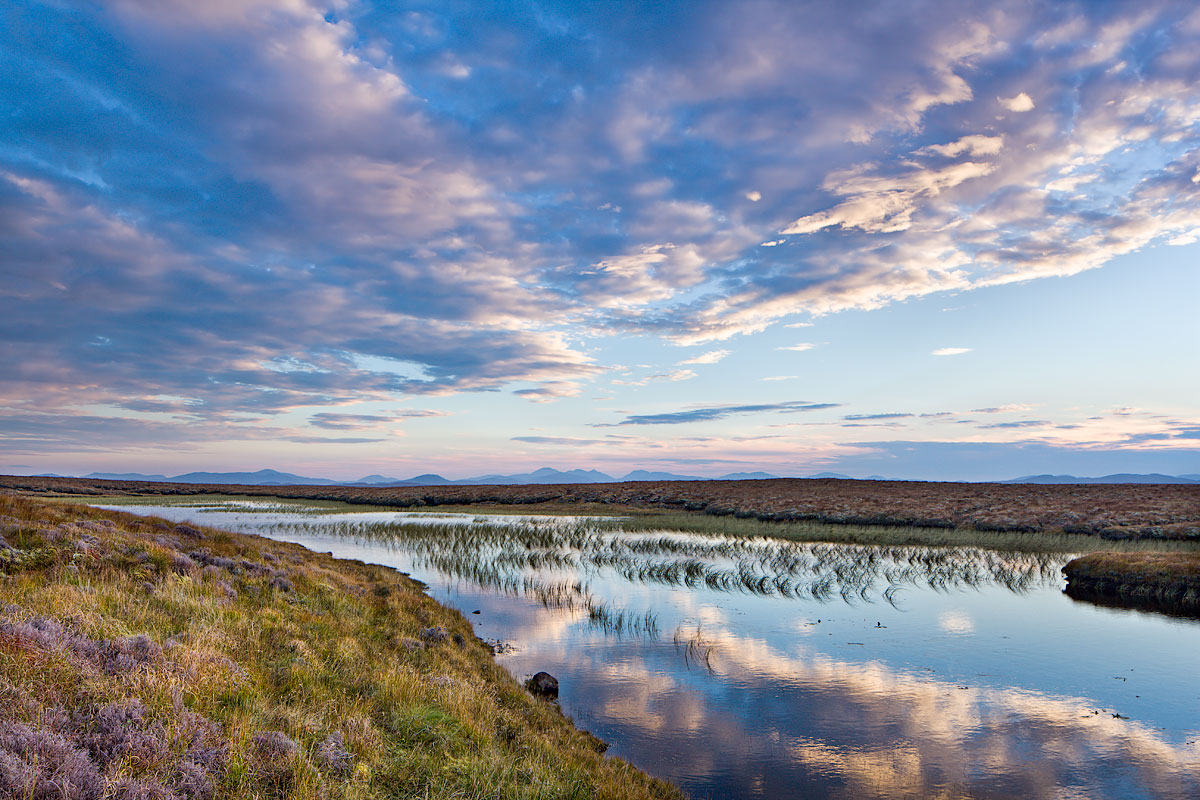 Lewis moor and peat beds