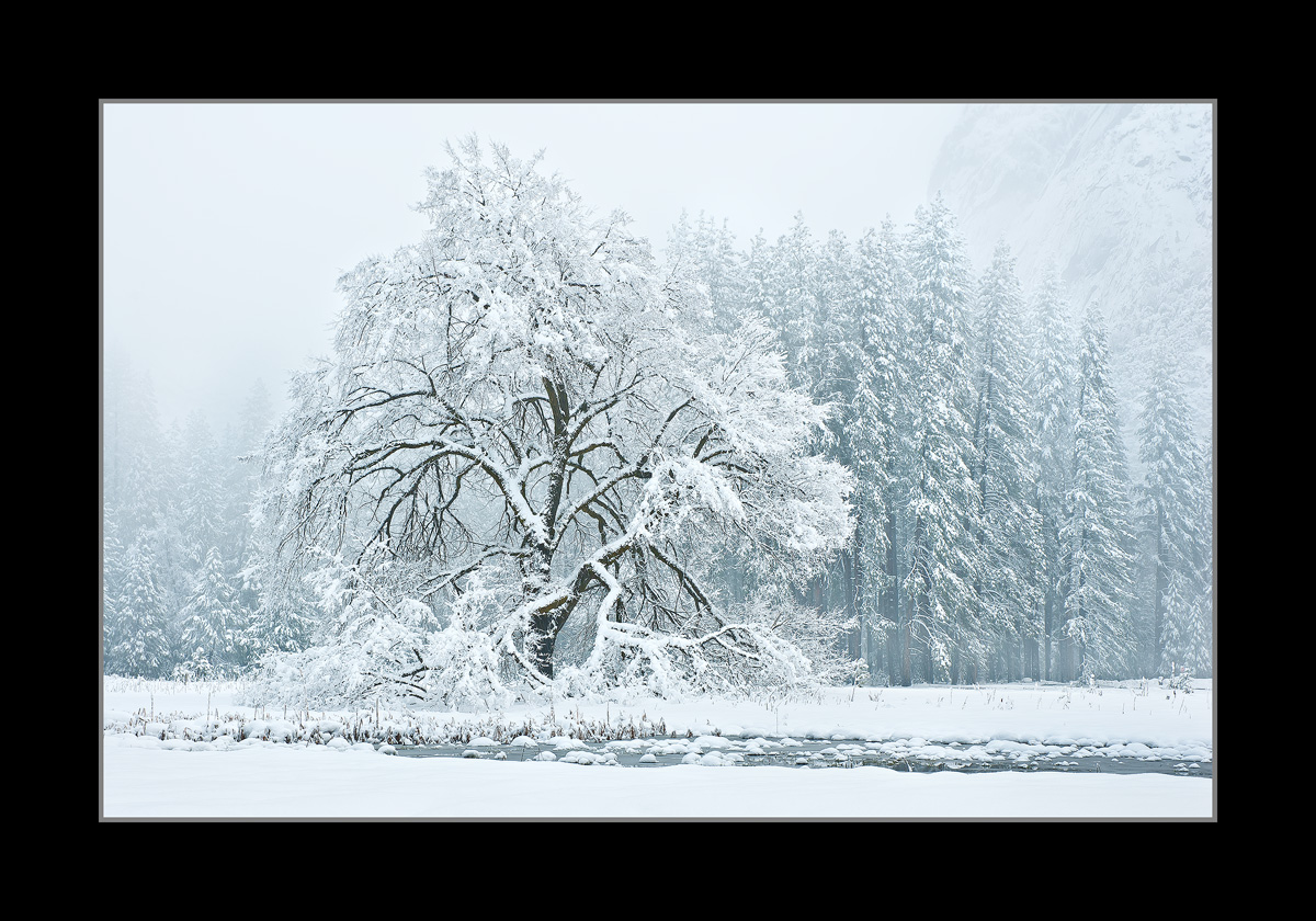  Winter Elegance/ With Edits