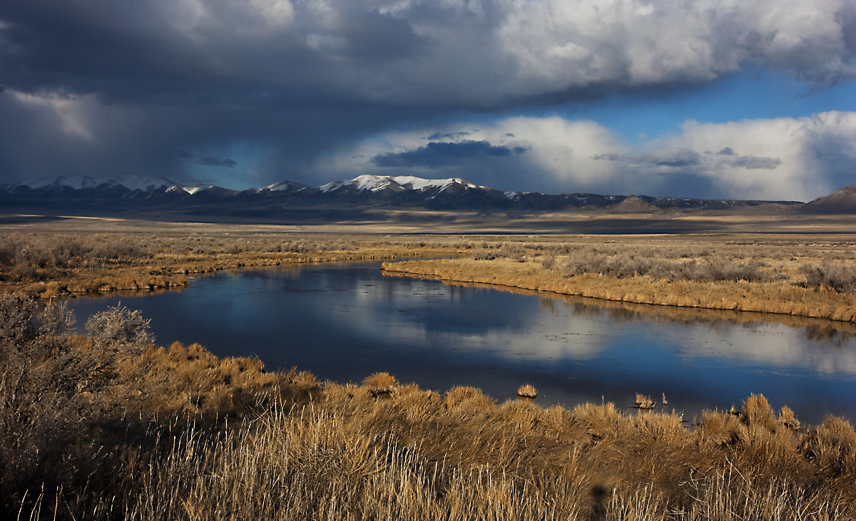 Salt Wells WMA