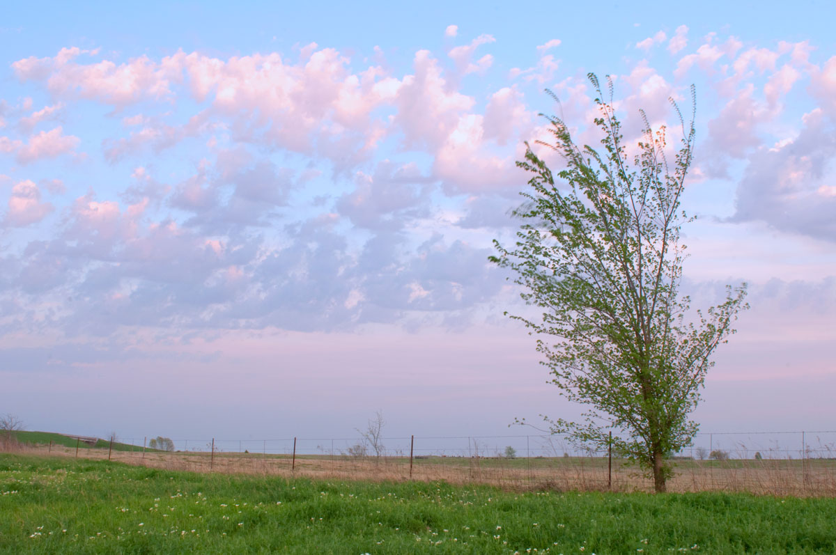 Texas Evening