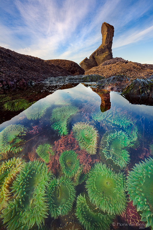 Tidal Secrets