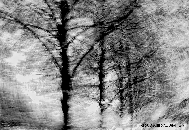 City Noise