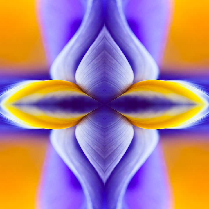 Kaleidoscope#1