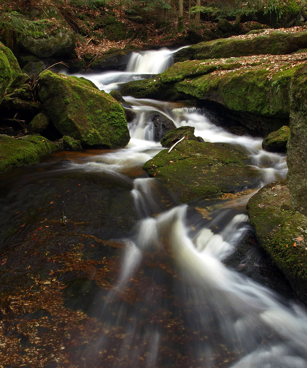 Ysperklamm