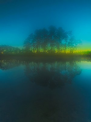 Everglades