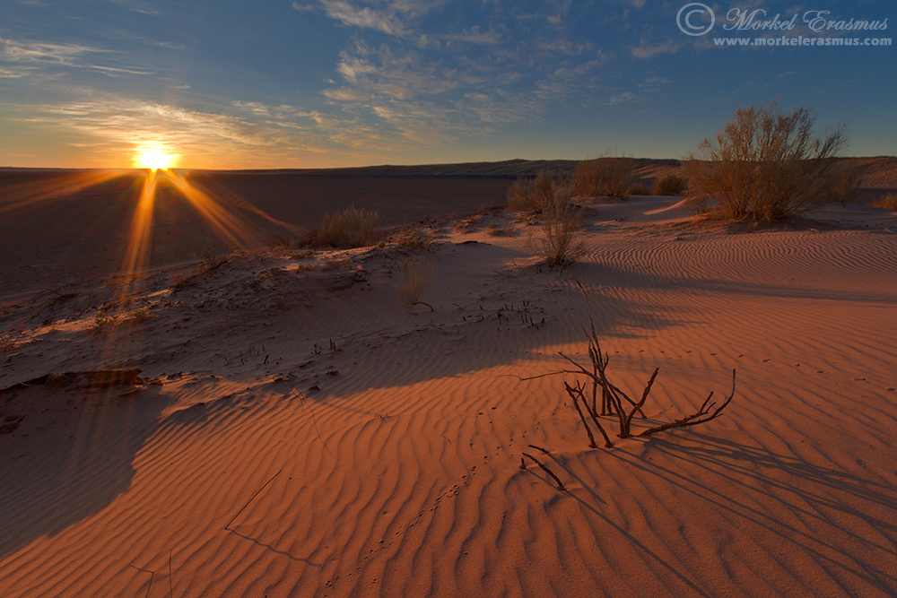 Dunes at Dawn