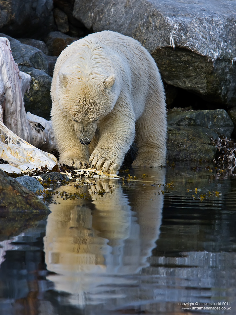 Reflective moment