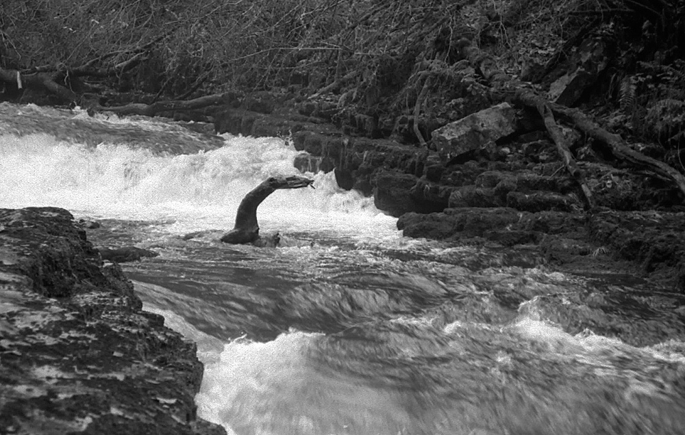 Loch Nedd Monster