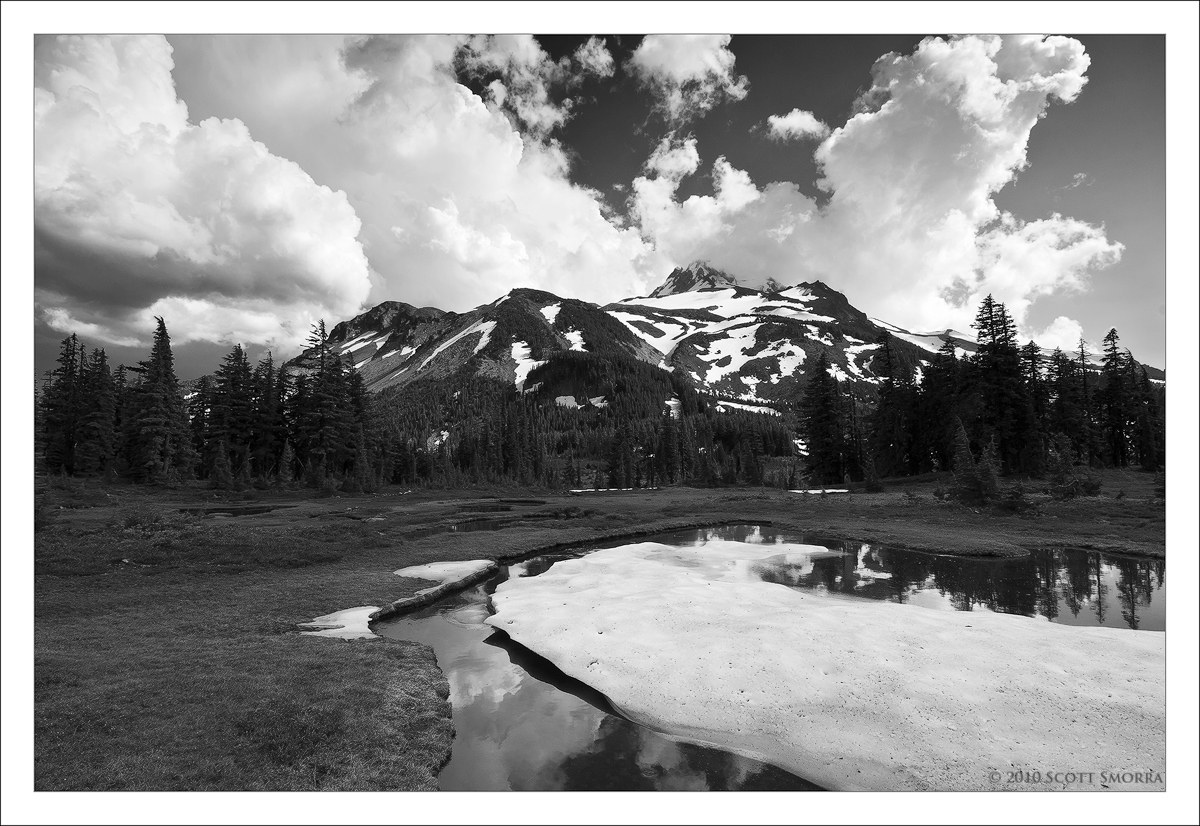 Jefferson Park B/W