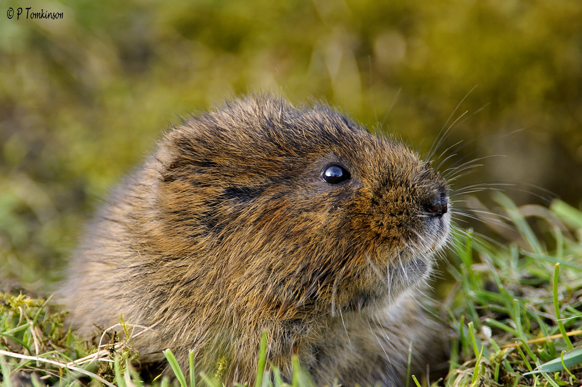 This is my best side