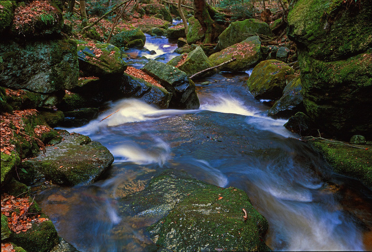 Ysperklamm II