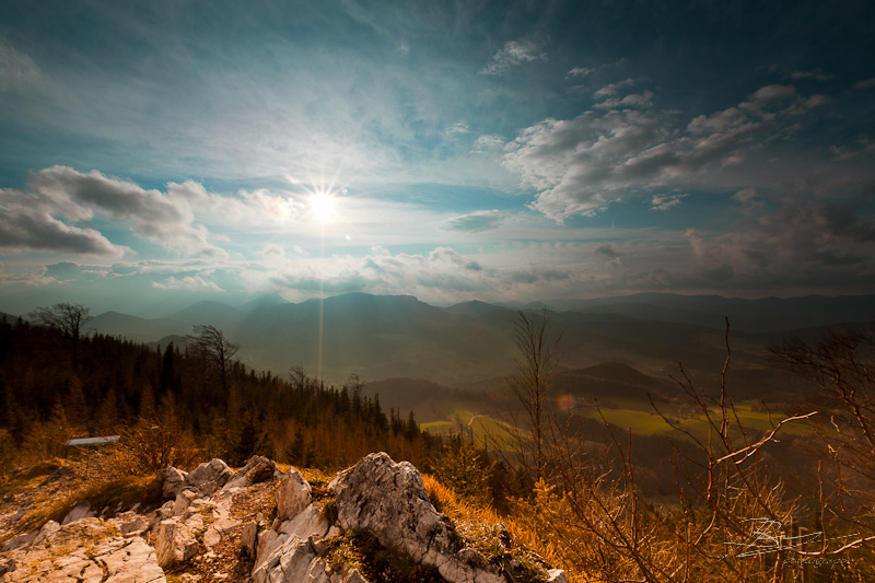 Spring at Hohe Wand