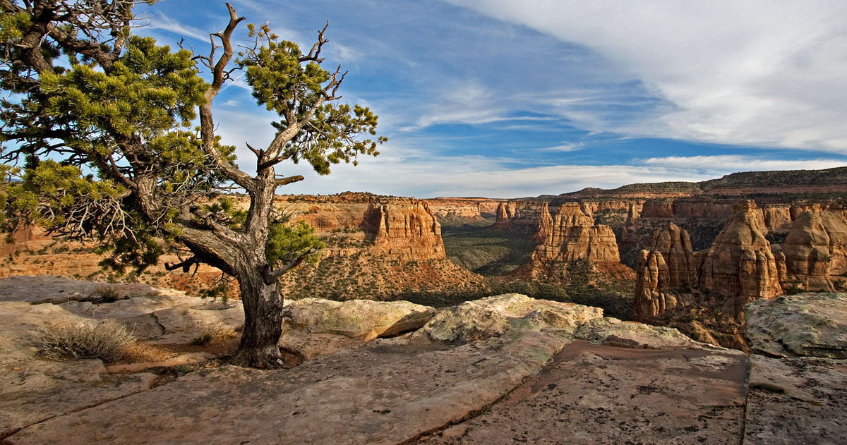 Canyon Rim Sunset