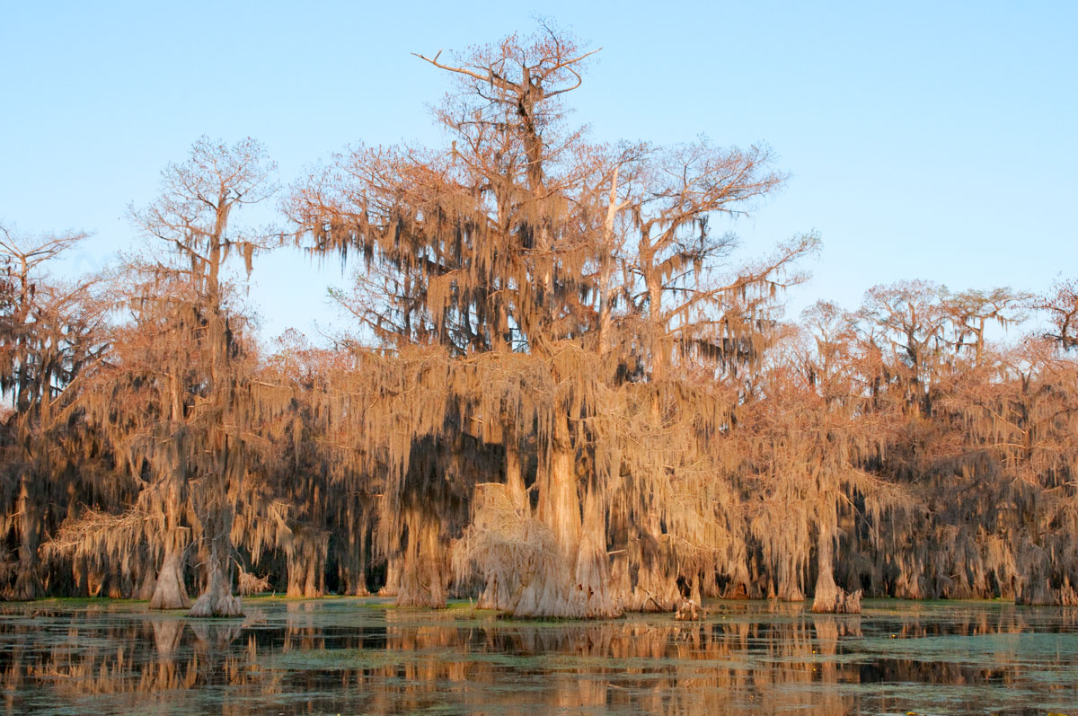 Caddo Lake
