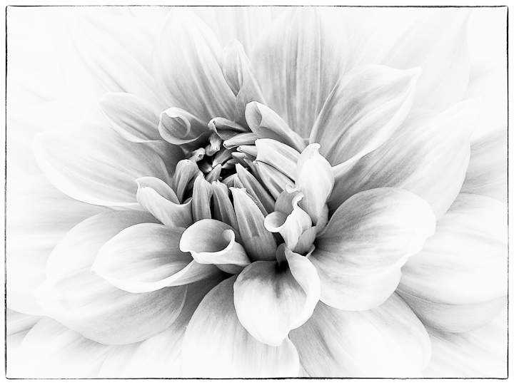 Softly
