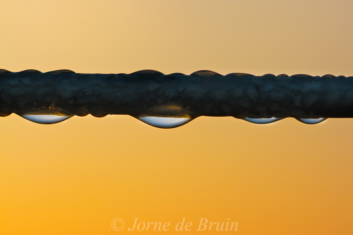 Landscape on a String