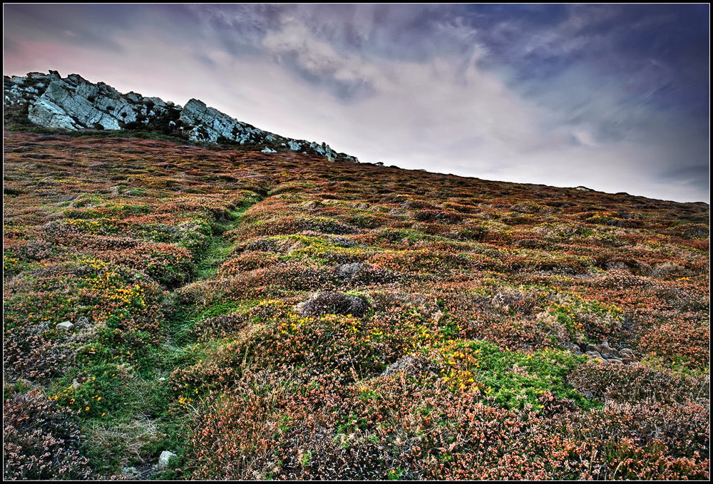 Coloured Hills