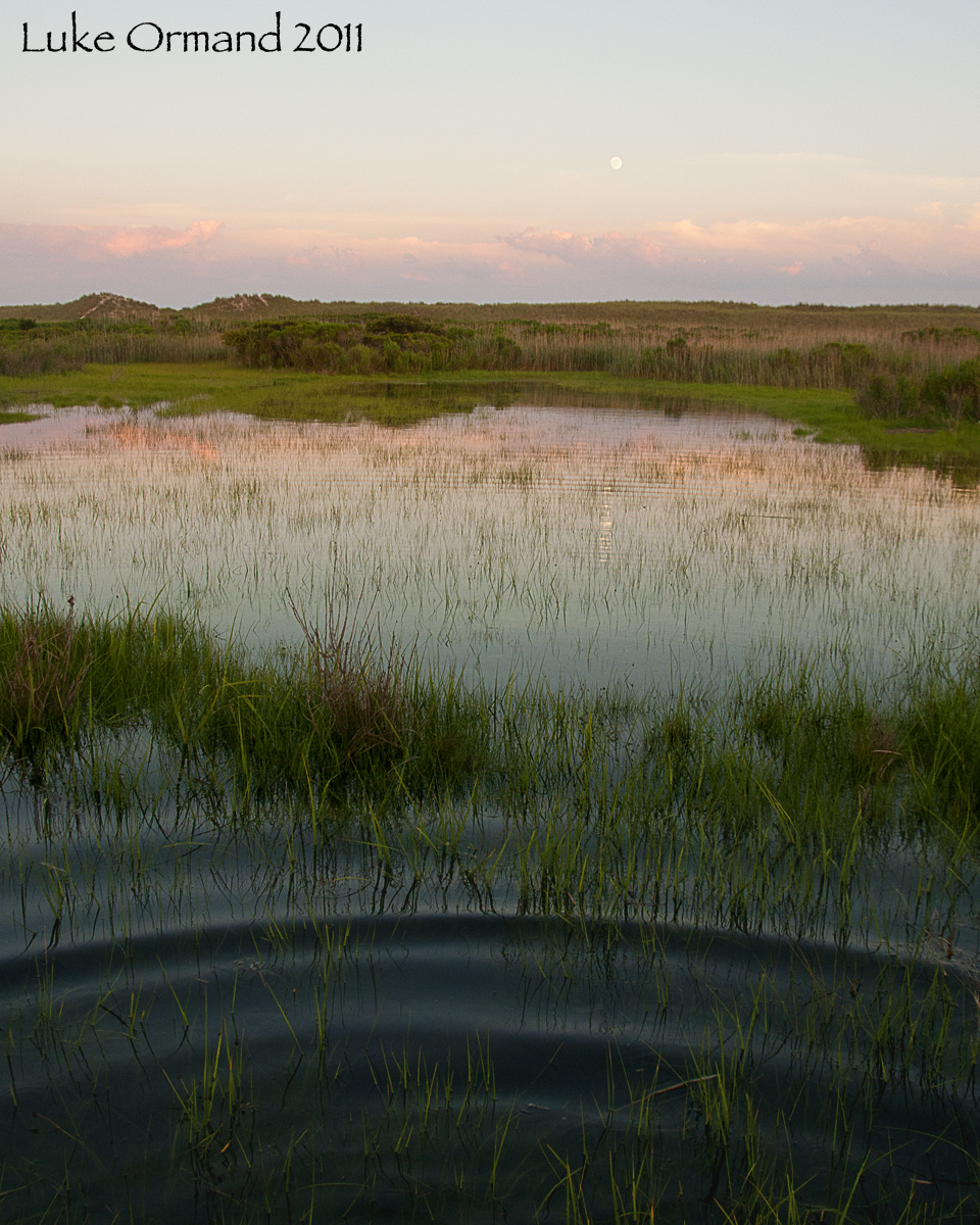 Dune Rd. Sunset