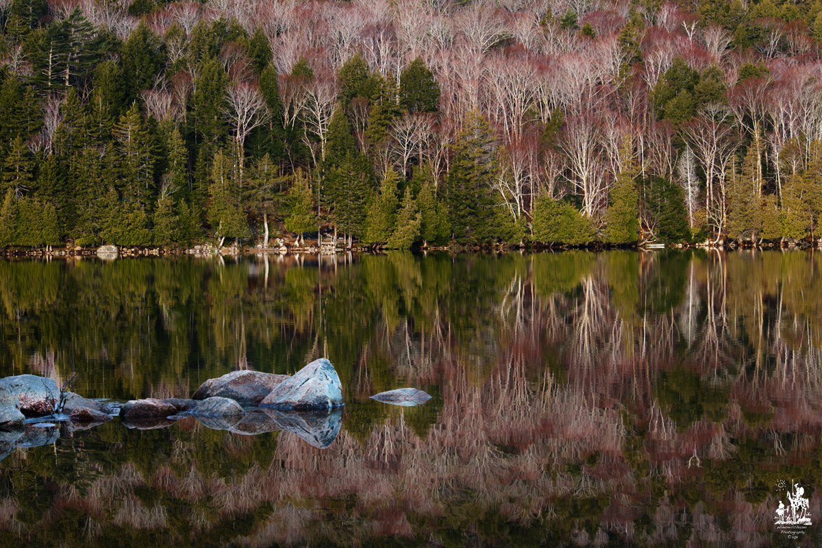Acadia - Signs of Spring