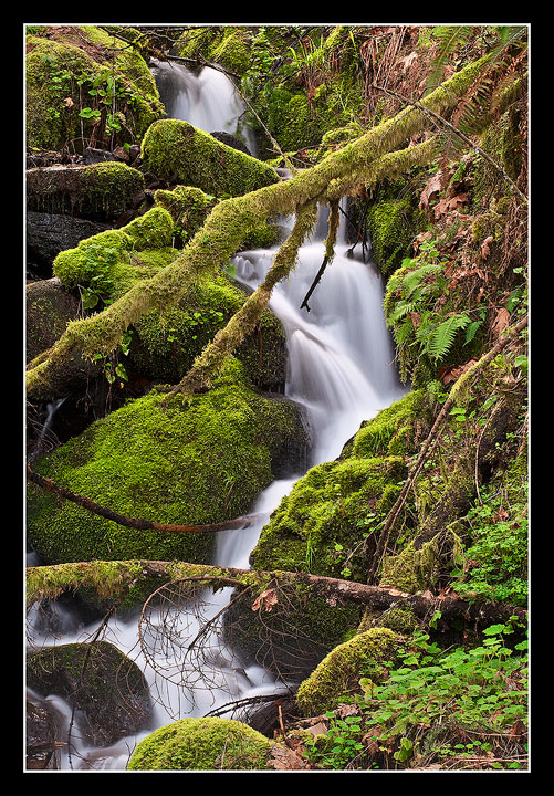 Gorge Stream, OR