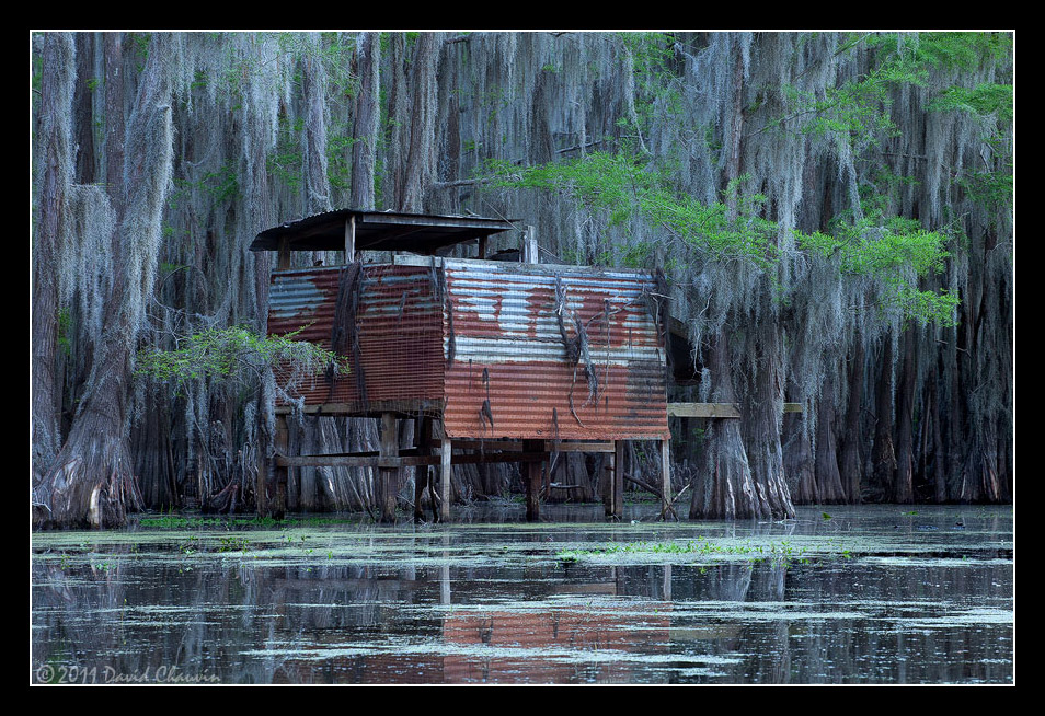 Duck Blind