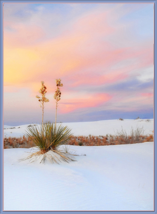 WC # 479 - Sand
