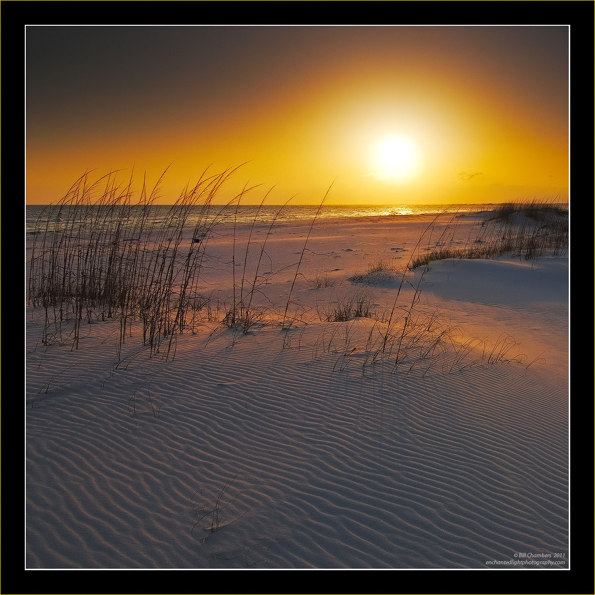 WC 479 - Frozen Sunset