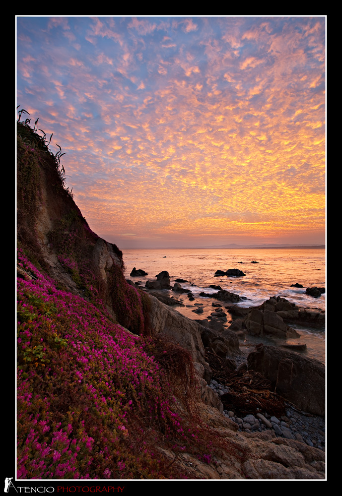 Cliffside Delight