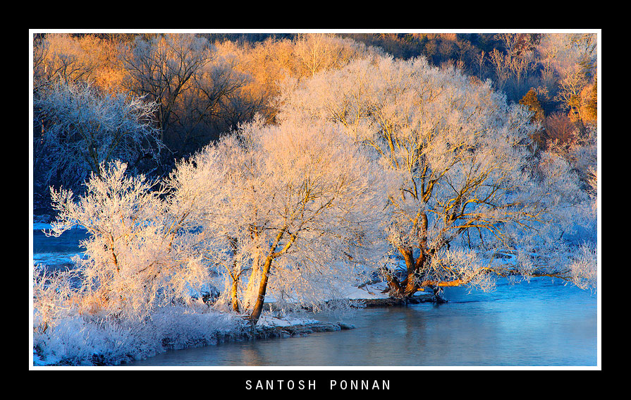 Morning frost.