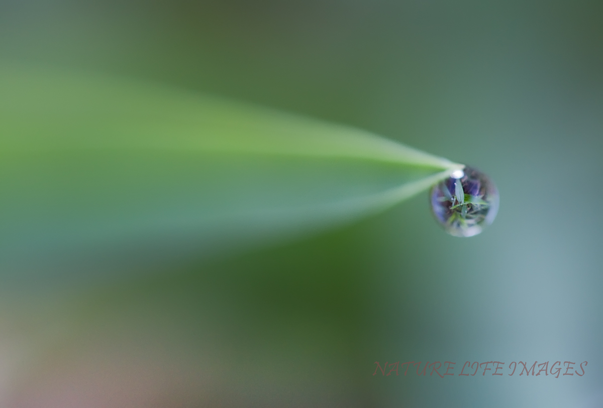 Just a Drop