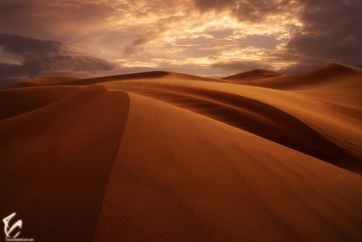 Beyond the Beauty
