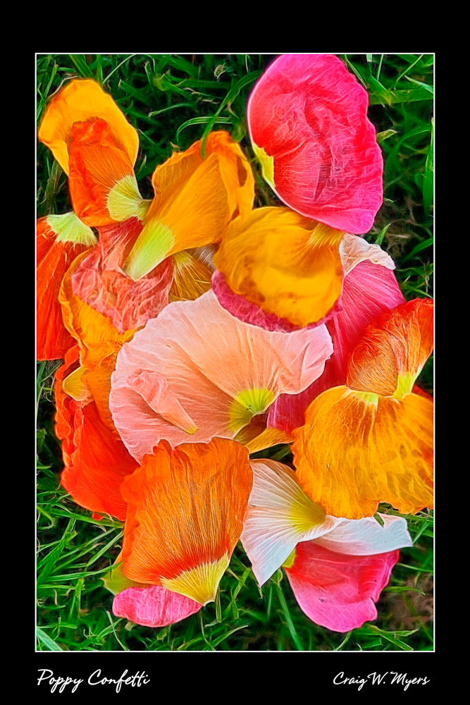 Poppy Confetti