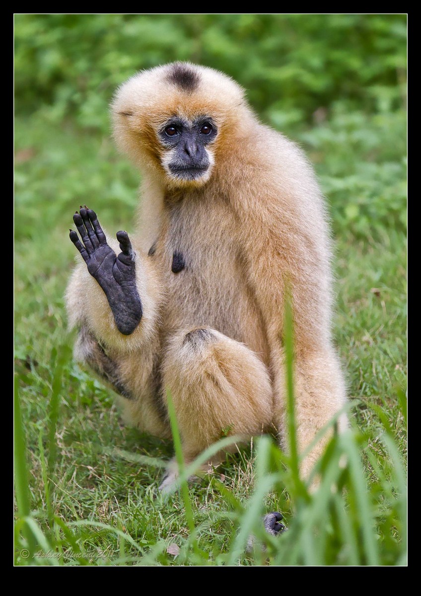 Talk to The Hand ...