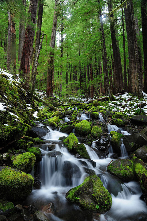 Lush Creek