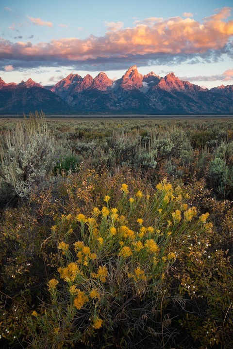 Teton Fallquet