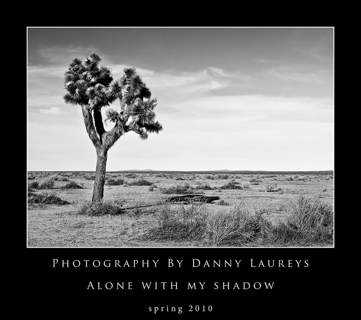 Alone with My Shadow