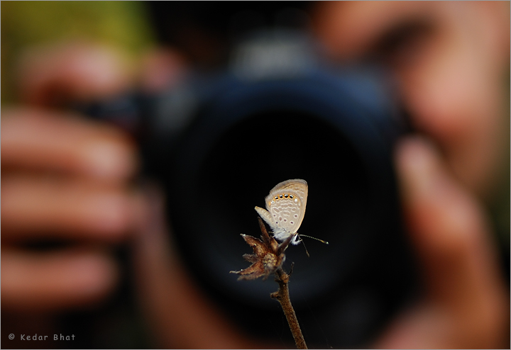 Tiny subject