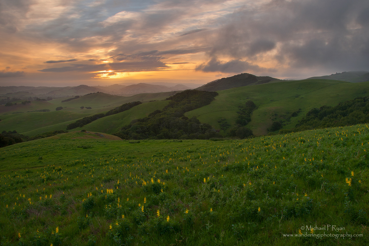 Wilson's Vista