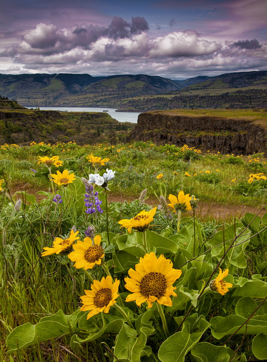 Rowena Plateau