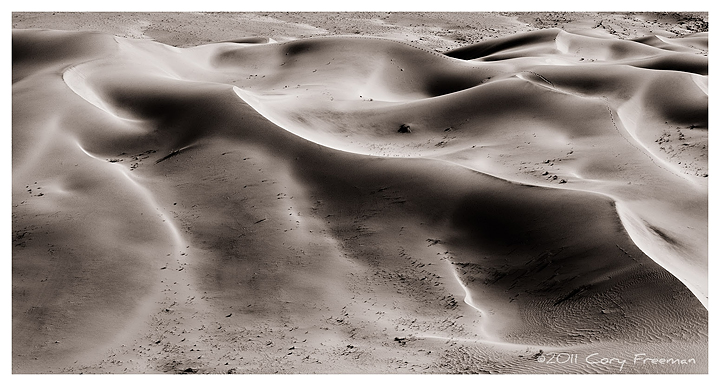 Solitude In The Dunes