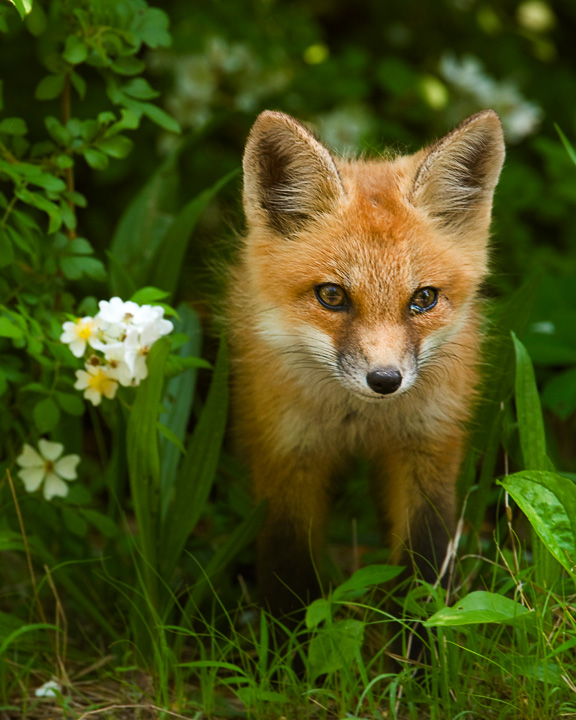 The Gift of Spring