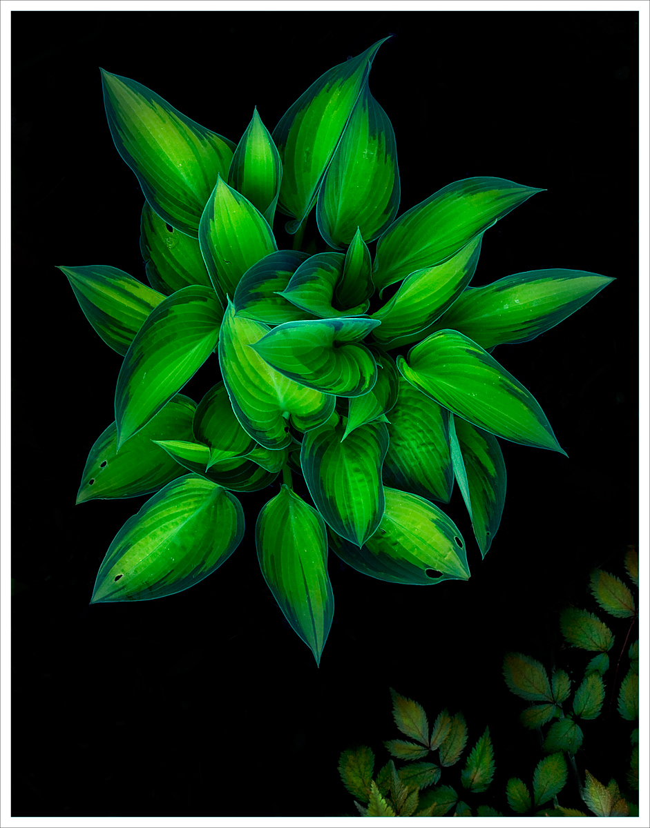 Dark with Corner Props
