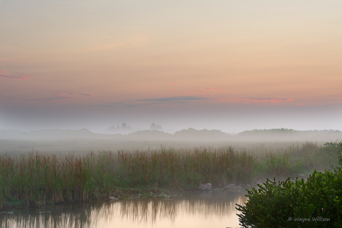 Glow Over the Glades+Repost