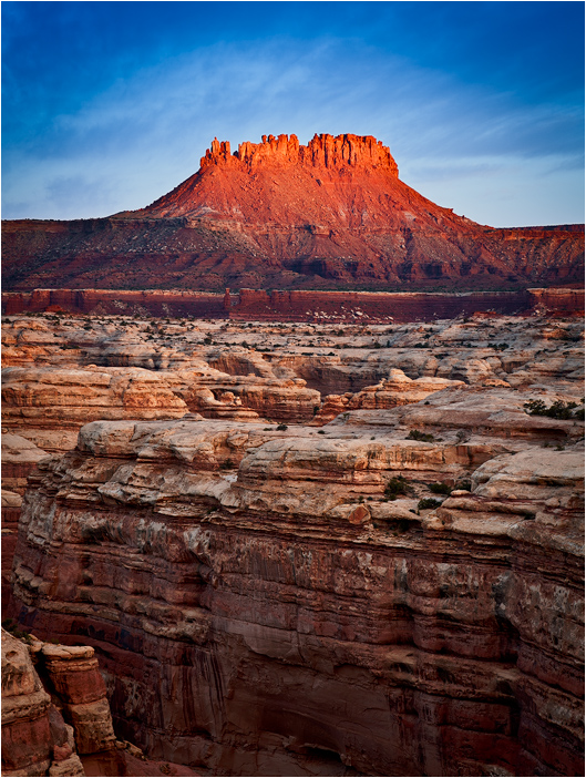 Elaterite Butte
