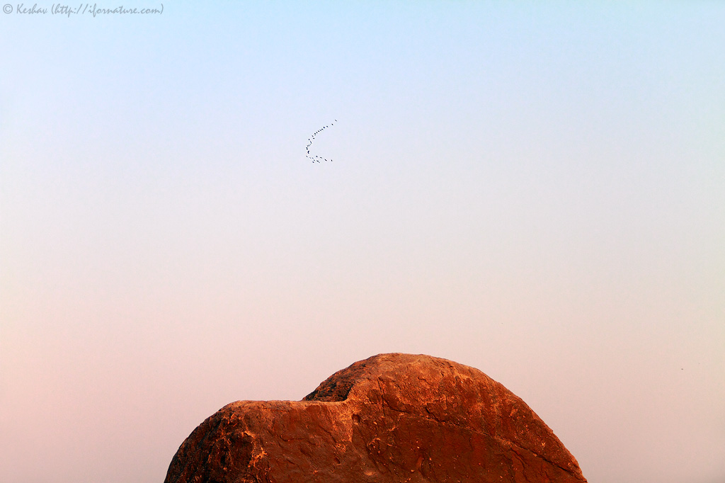 Birds and Boulder