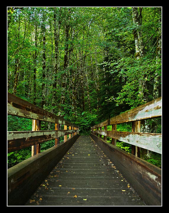 Walking Into Green