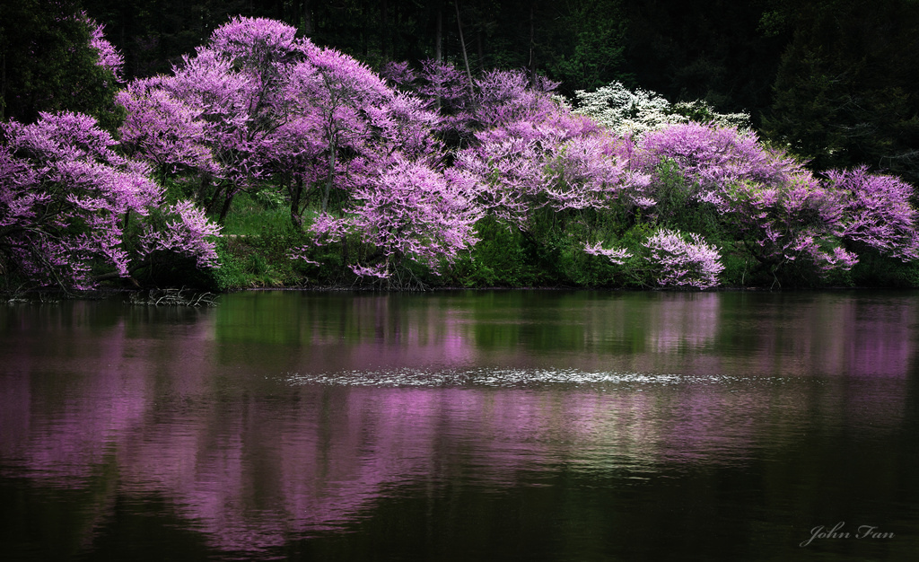 Quiet Moment