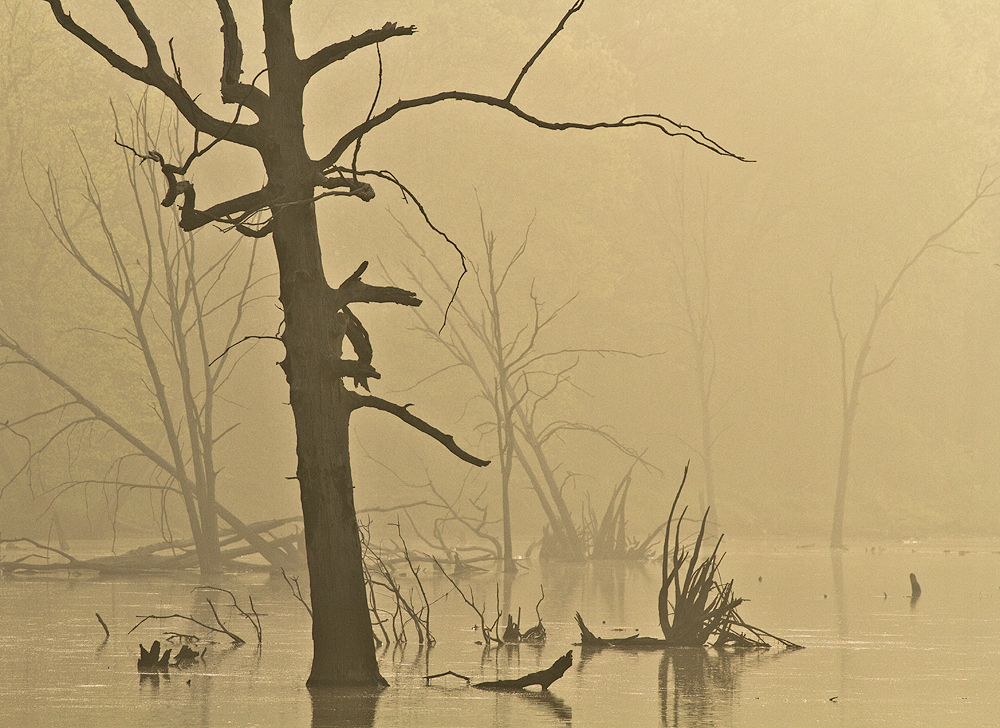 High Water