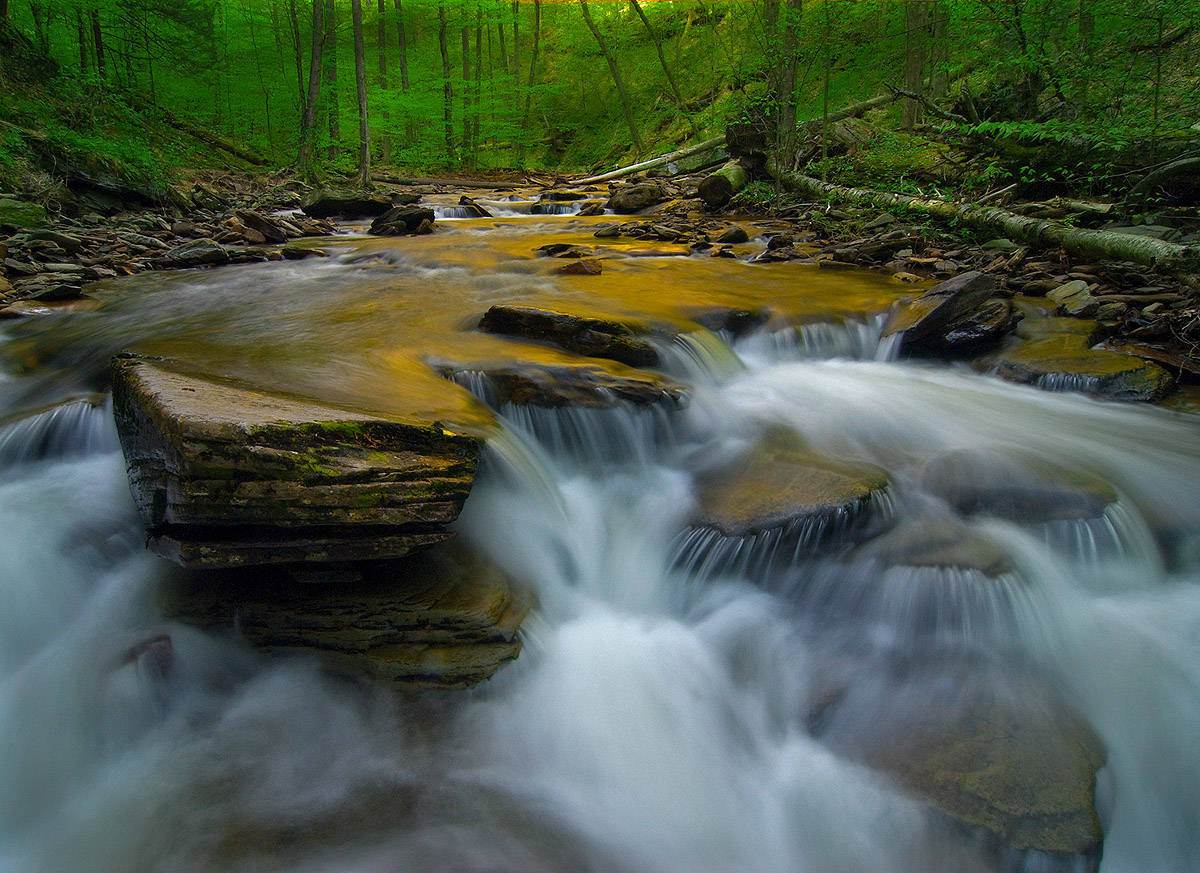 Ricketts Glen