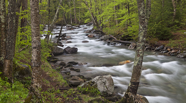 Spring in Vermont